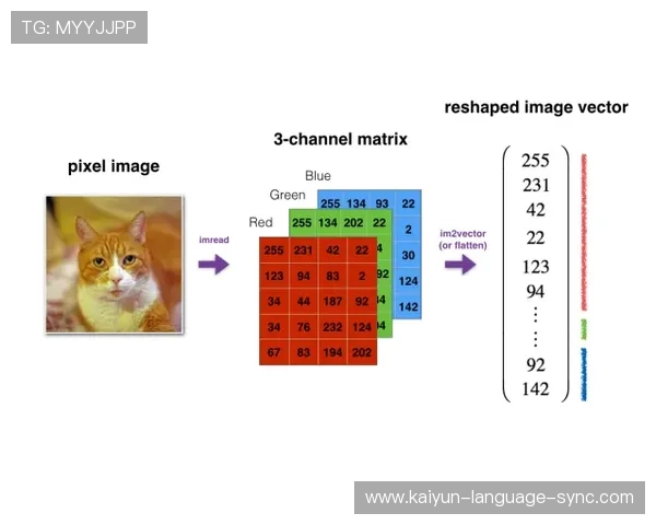 强弱队波胆推荐避坑技巧高频玩法防骗指南